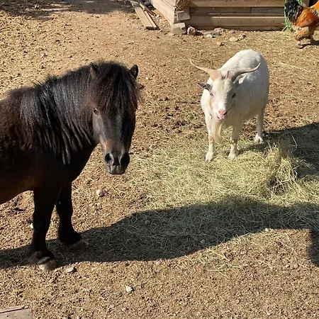 Maison Equipee - Calme - Jardin - Parking - Chez Billy & Compagnie * Hirtzfelden