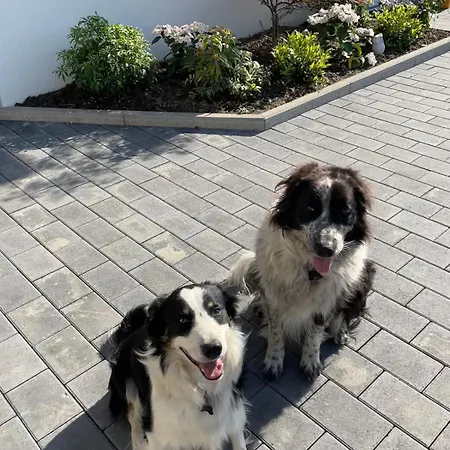 Nyaraló Maison Equipee - Calme - Jardin - Parking - Chez Billy & Compagnie